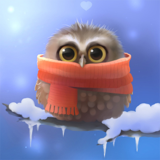 Zdjęcie Cute Owl Slide