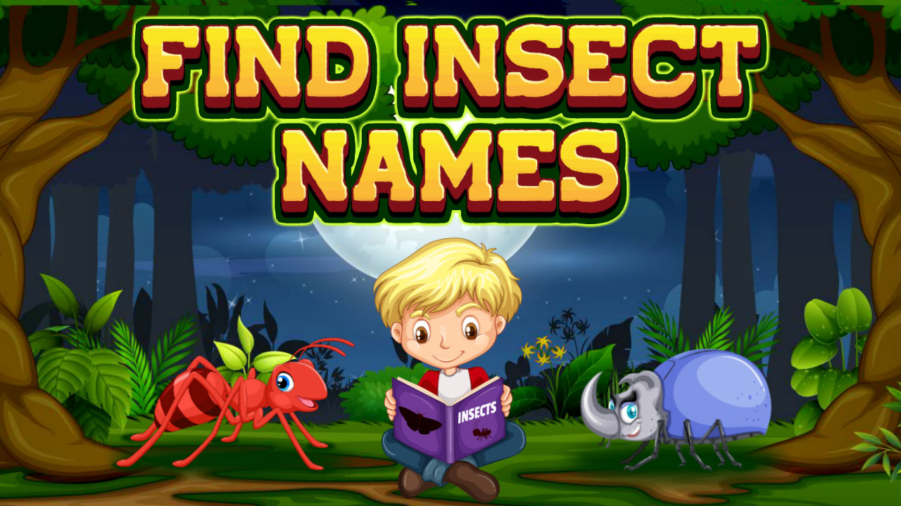 Zdjęcie Find Insects Names